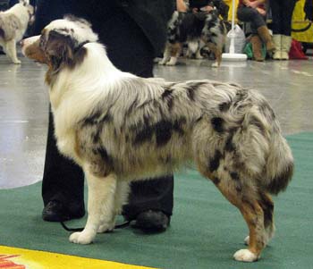 junior males EXC2 Tres Colores Hiawatha Mohawk1
