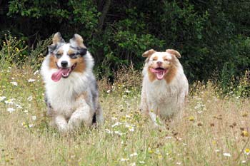 Beginning of August Gösta and Thyra1