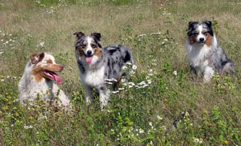 Beginning of August Thyra Pinja and Gösta