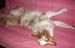 Mid-august Thyra sleeping