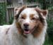 Thyra at 13months
