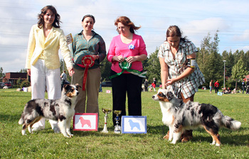 BIS Tres Colores Gabrielina and BOS Drover's Counting Sheep1