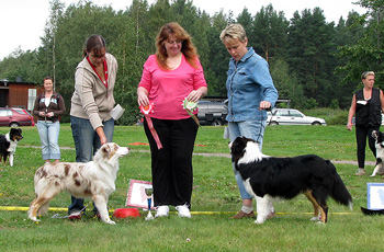 BOB puppy Prestige Nothing Else Matters and BOS puppy Zeal XXX1