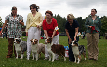 Breeders groups 1st Drover's2