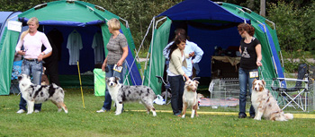 Breeders groups 2nd Hazelmoor