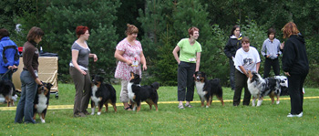 Progeny group 2nd Sentikki Arabesque