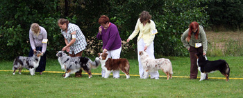 Progeny group 4th Tres Colores Gabrielina1