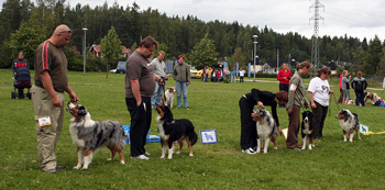 Progeny group 5th Montrose Moment Blue