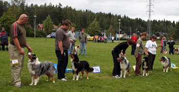 Progeny group 5th Montrose Moment Blue1