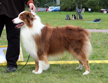 Red males 3rd Ossequente Lancia Rosso