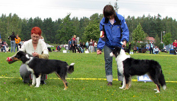 black bitches 1st Illinsaari Olivia and 2nd Ossequente Sirius