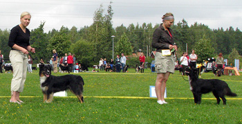 black bitches 4th Hazelmoor Janet Jackson and 5th Särkivaaran Tokko-pa
