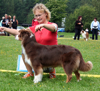 red bitches 5th Hazelmoor Kola Karamel1