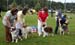 Breeders groups 1st Drover's3