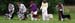 Progeny group 4th Tres Colores Gabrielina