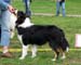 Puppymales 1st Zeal XXXX