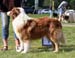 Red males 1st Ossequente Salvatore1