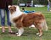 Red males 1st Ossequente Salvatore2