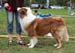 Red males 1st Ossequente Salvatore3