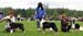 black bitches 1st Illinsaari Olivia, 2nd Ossequente Sirius and 3rd Ossequente Zabrina