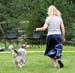blue merle bitches Drover's All Eyes On Me2