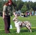red merle bitches 1st Glenhouse's Isadora