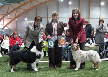BOS CAC CACIB Namikiss Ever Magic and BOB CAC CACIB BIG 2 Drover's Crown Jewel