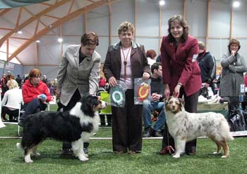 BOS CAC CACIB Namikiss Ever Magic and BOB CAC CACIB BIG 2 Drover's Crown Jewel1