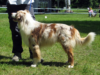 Open male Anuk of Old River-Banks SG