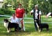 BOB Mill Creek's Night Flight and BOS Dasha's Power to Be Special for Pales