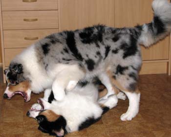 Albin and Signe at 5 months1