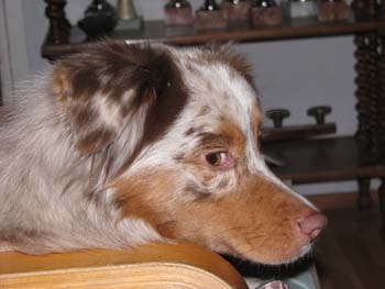 Thyra in TV chair