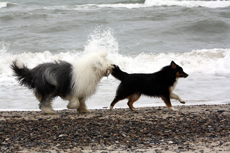 June 22nd Hjördis and Sampo6