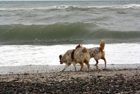 June 22nd Thor and Thyra