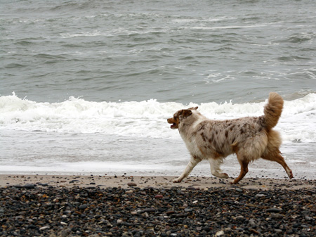 June 22nd Thyra jogging on the beach
