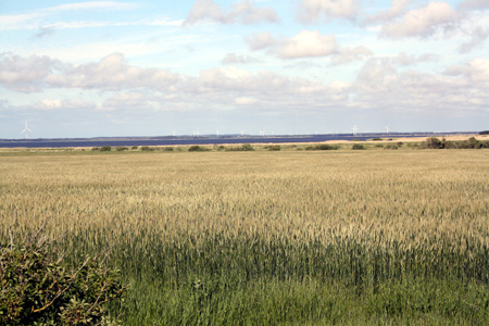 June 22nd the fjord from our house