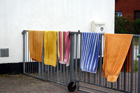 June 23rd dog towels