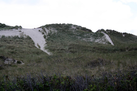 June 26th Dunes by the Atlantic ocean