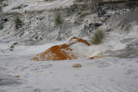June 26th Dunes by the Atlantic ocean10