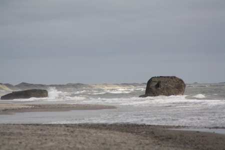 June 26th Dunes by the Atlantic ocean13