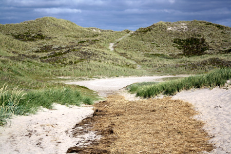 June 26th Dunes by the Atlantic ocean14