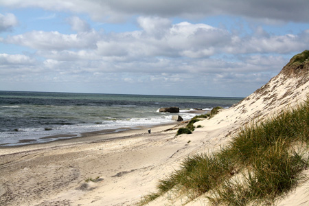 June 26th Dunes by the Atlantic ocean3