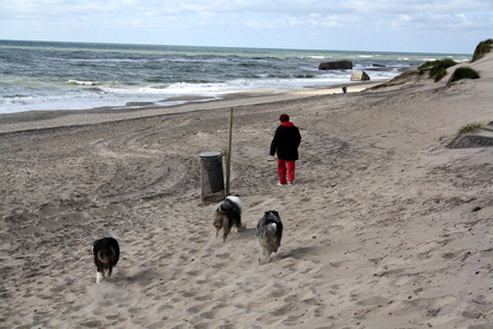 June 26th Dunes by the Atlantic ocean5
