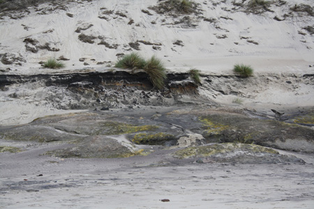 June 26th Dunes by the Atlantic ocean7