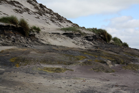 June 26th Dunes by the Atlantic ocean9