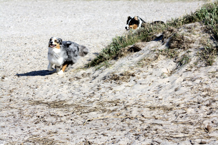 June 26th Pinja and Signe