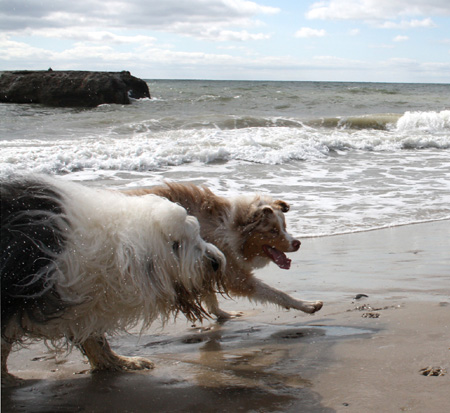 June 26th Thor and Sampo1