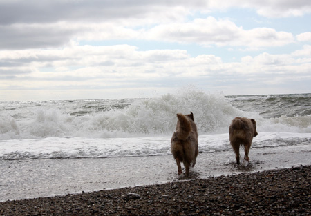 June 26th Thyra and Thor