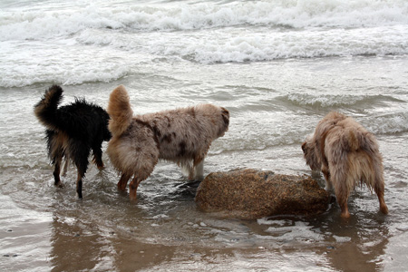 June 26th Thyra, Hjördis and Thor3