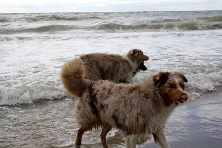 June 26th Thyra, Hjördis and Thor4
